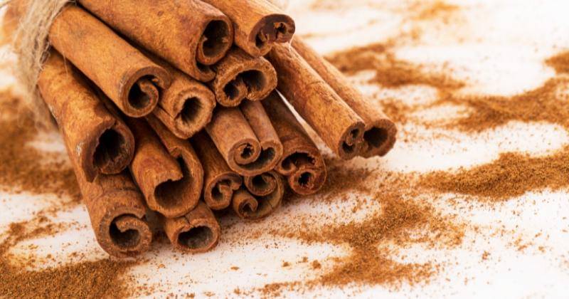 freepik/Racool_studio